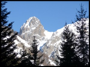 P1020351